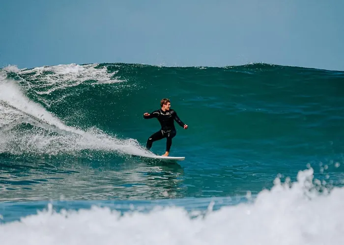 Auberge de jeunesse Endless Summer Vibes *