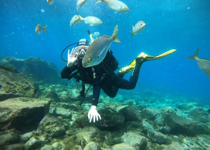 Endless Summer Vibes Auberge de jeunesse