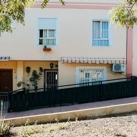 Vibes Surfhouse بيت شباب *