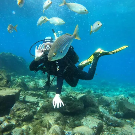 Endless Summer Vibes Hostel