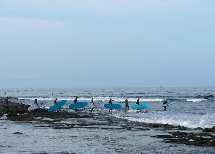 Hostel Endless Summer Vibes